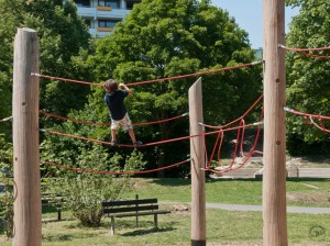 10.80000_Climbing forest_014