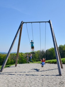 7.14020_Extra High Swing special_001