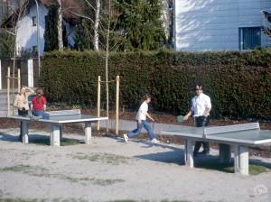 7.89000_Table Tennis Table_002