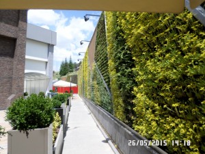 SAMSUNG CAMERA PICTURES